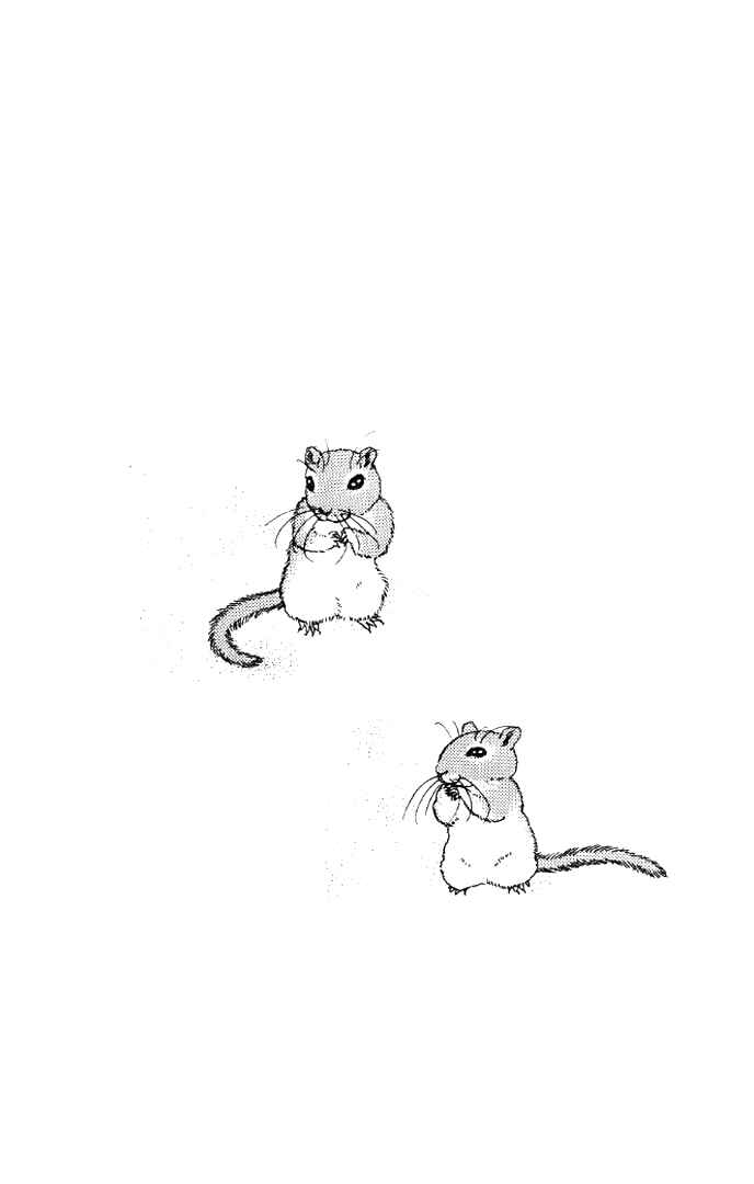 Page 3 Chapter 20 The Animal Doctor