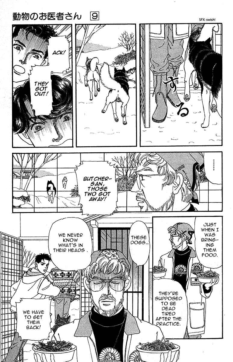 Page 7 Chapter 84 The Animal Doctor