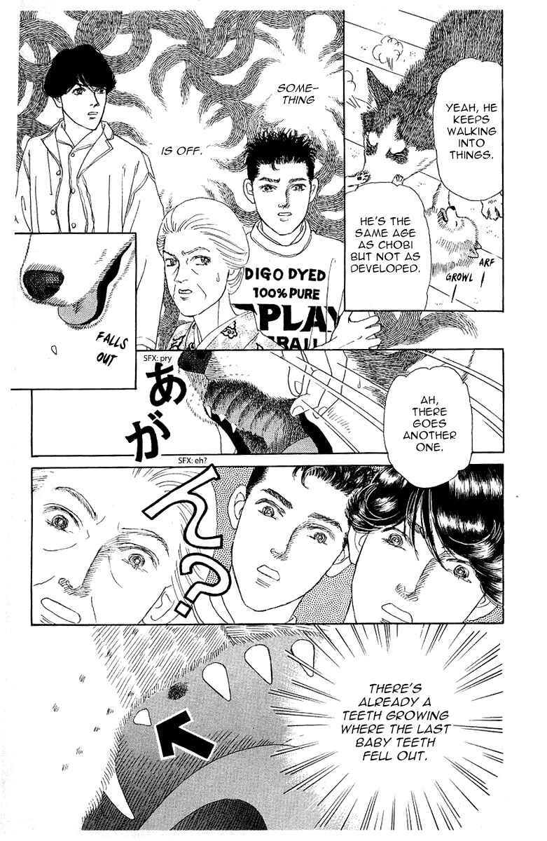 Page 13 Chapter 115 The Animal Doctor
