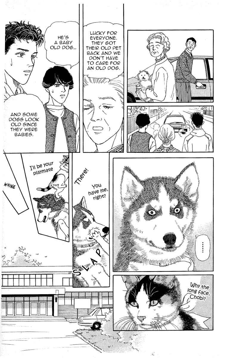 Page 17 Chapter 115 The Animal Doctor