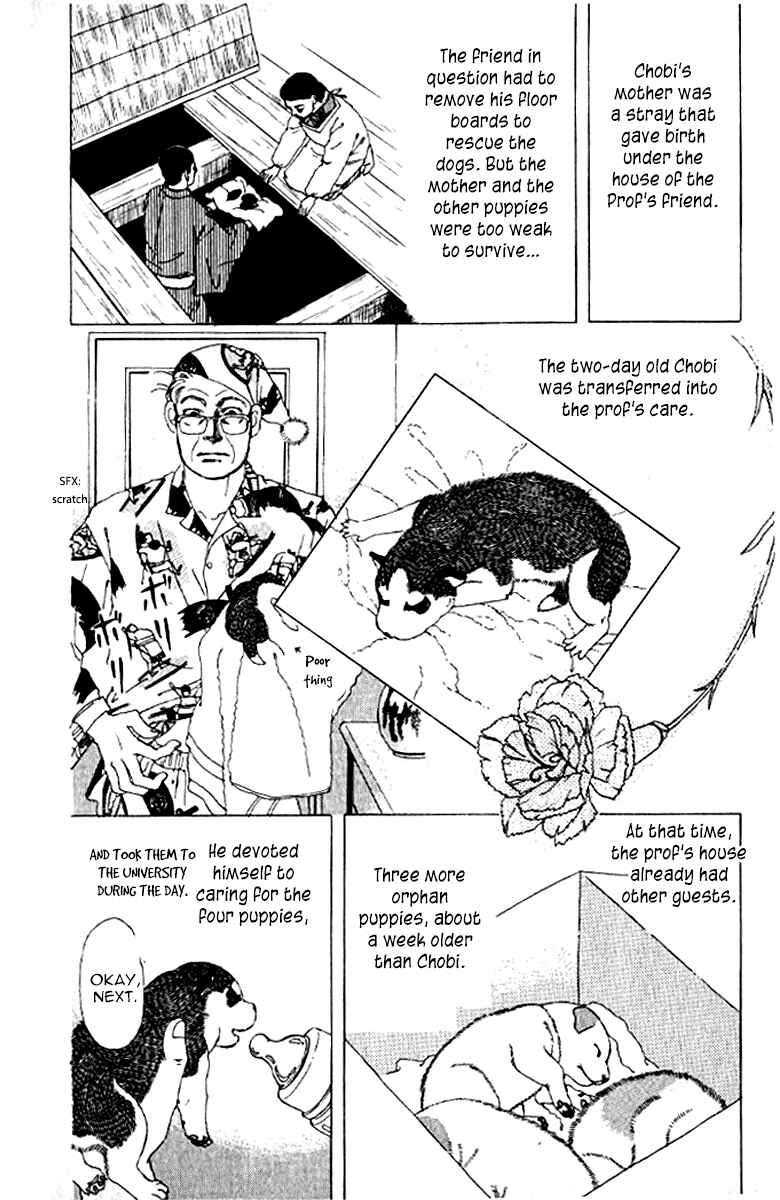 Page 13 Chapter 72 The Animal Doctor