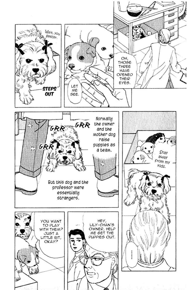Page 19 Chapter 72 The Animal Doctor