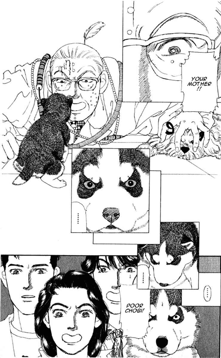 Page 24 Chapter 72 The Animal Doctor