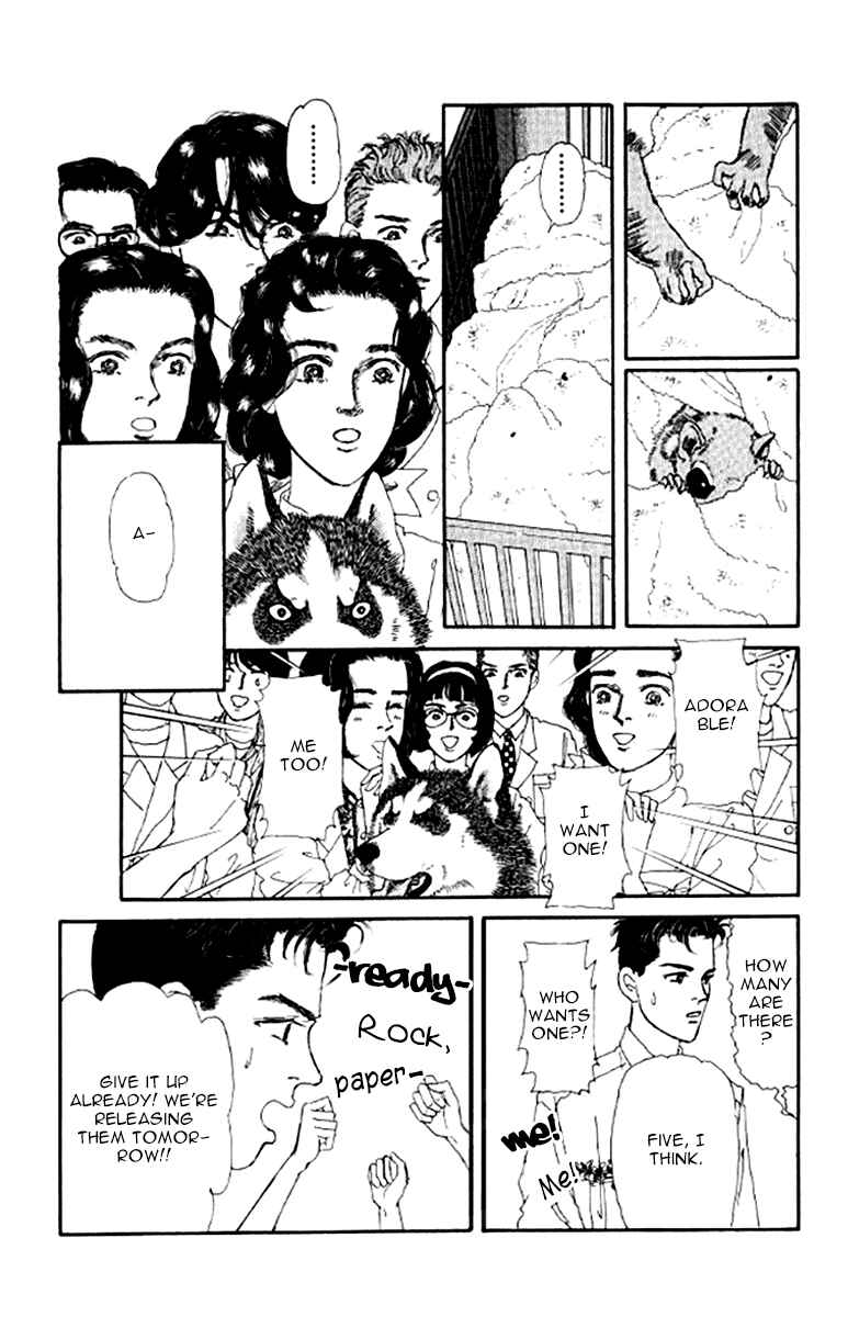 Page 6 Chapter 98 The Animal Doctor