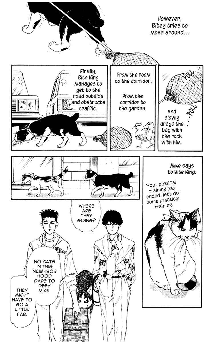 Page 14 Chapter 50 The Animal Doctor