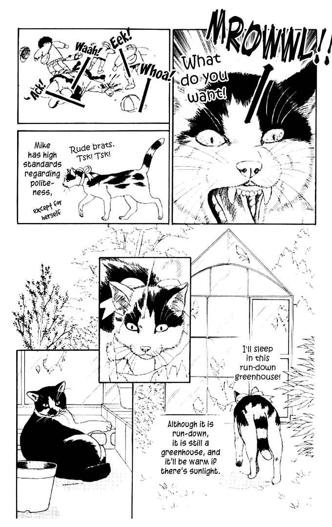 Page 5 Chapter 50 The Animal Doctor