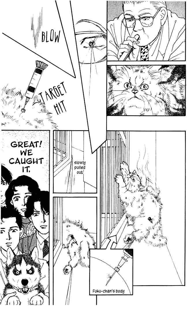 Page 19 Chapter 28 The Animal Doctor