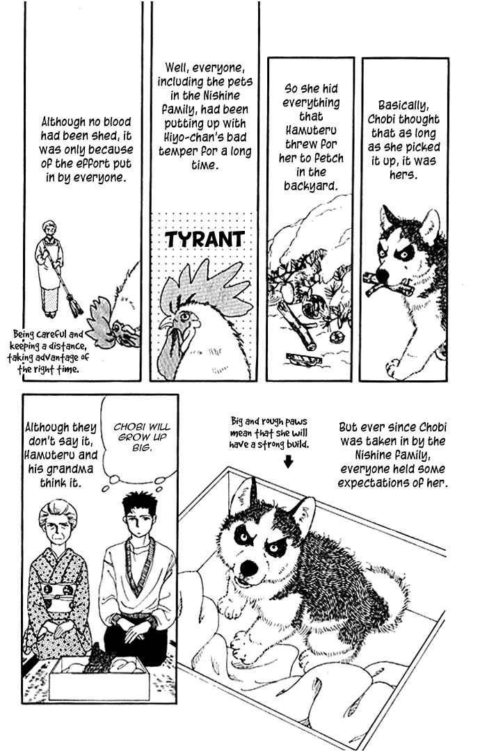 Page 10 Chapter 9 The Animal Doctor