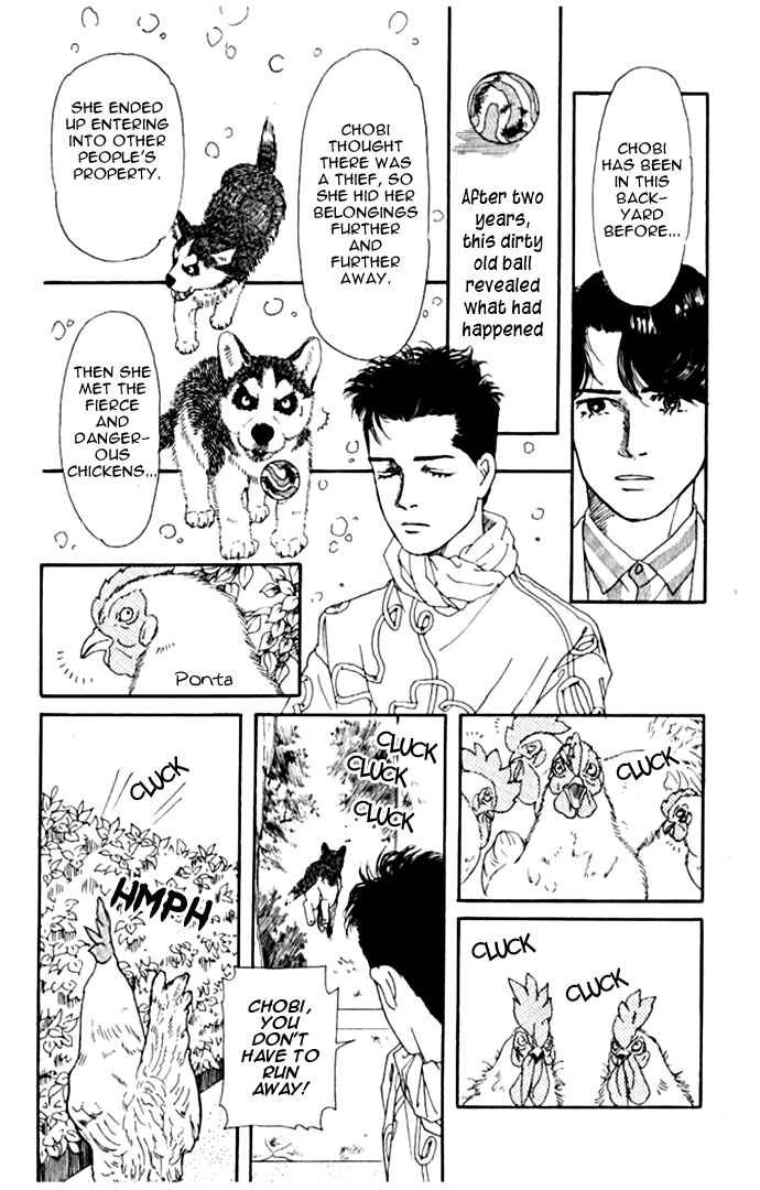 Page 21 Chapter 9 The Animal Doctor