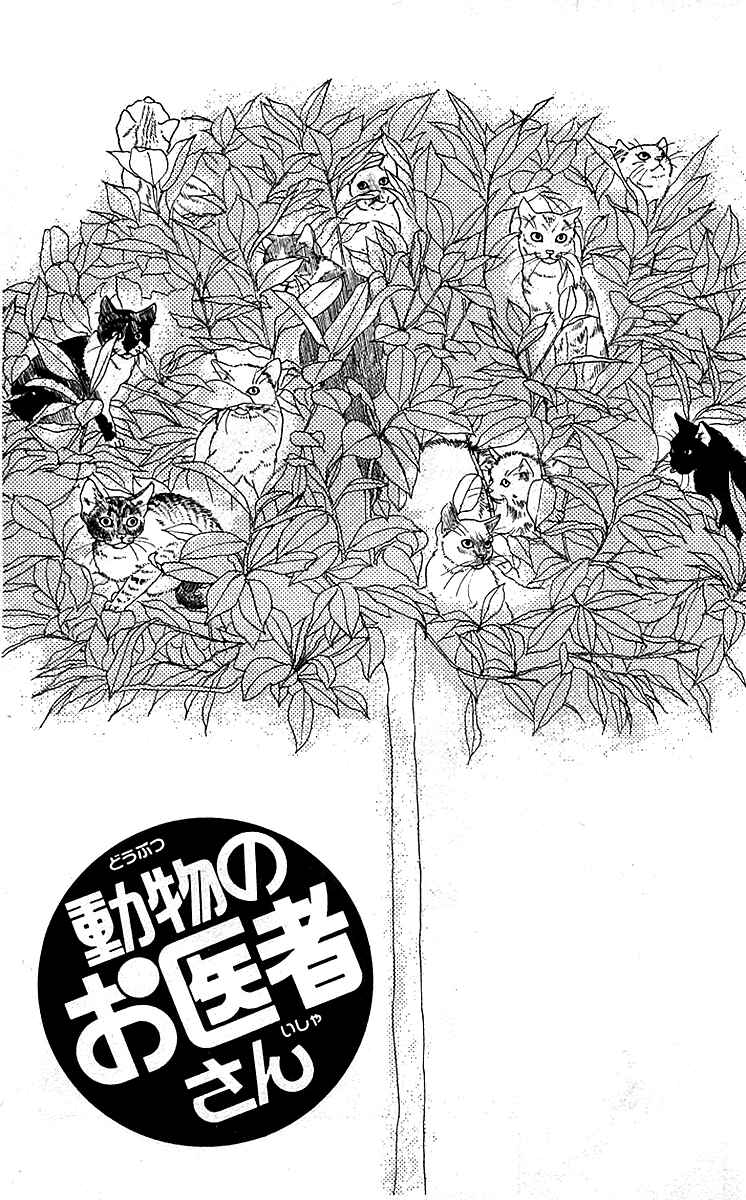 Page 3 Chapter 82 The Animal Doctor