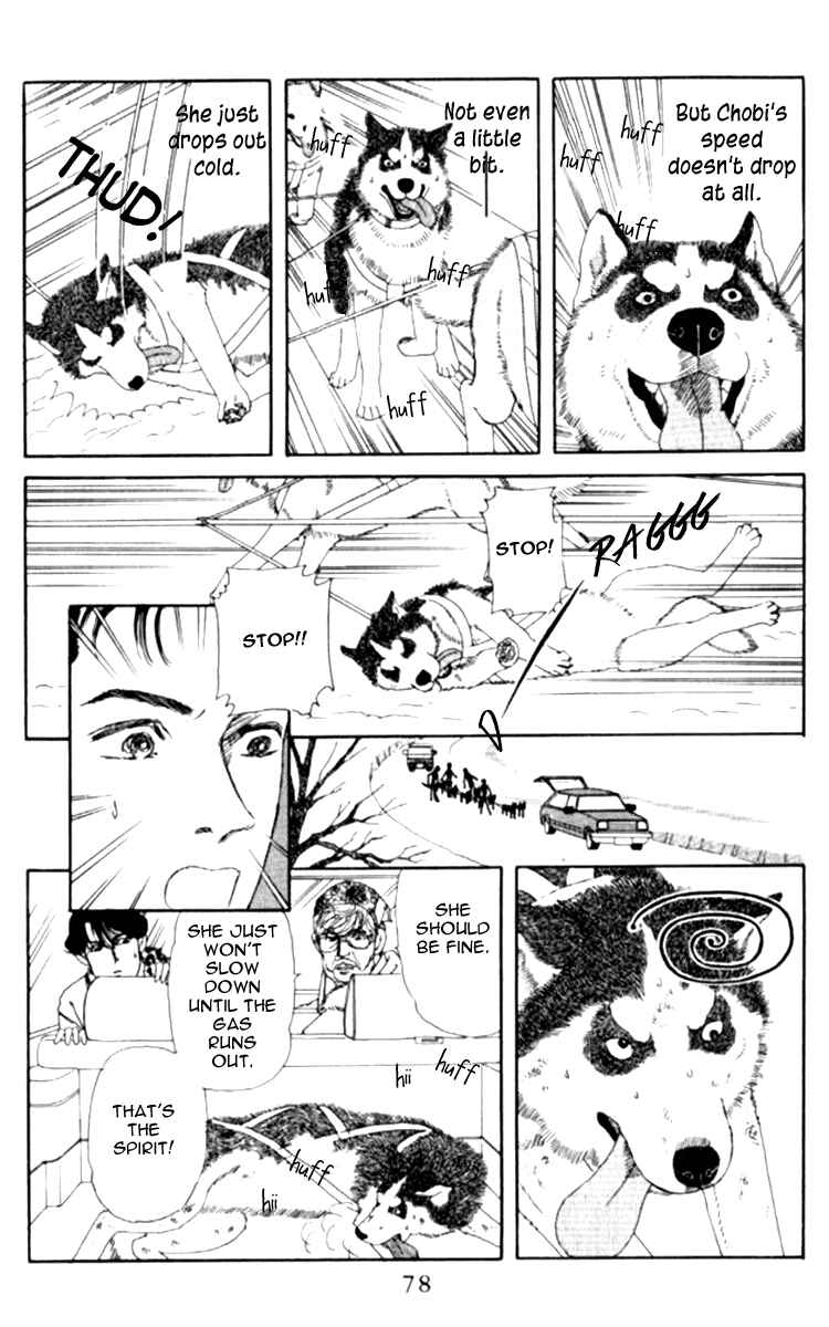 Page 13 Chapter 66 The Animal Doctor