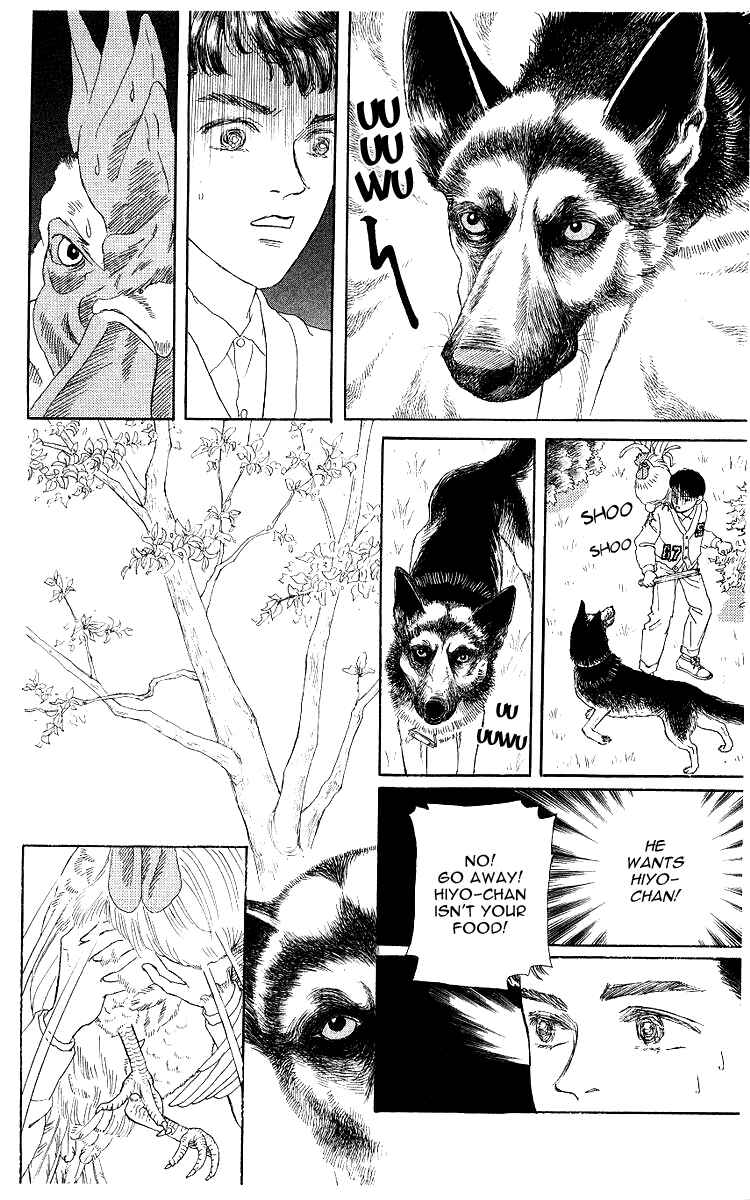 Page 13 Chapter 102 The Animal Doctor