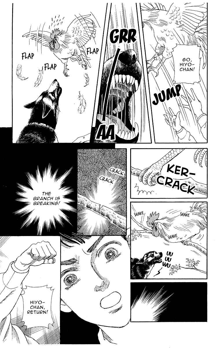 Page 14 Chapter 102 The Animal Doctor