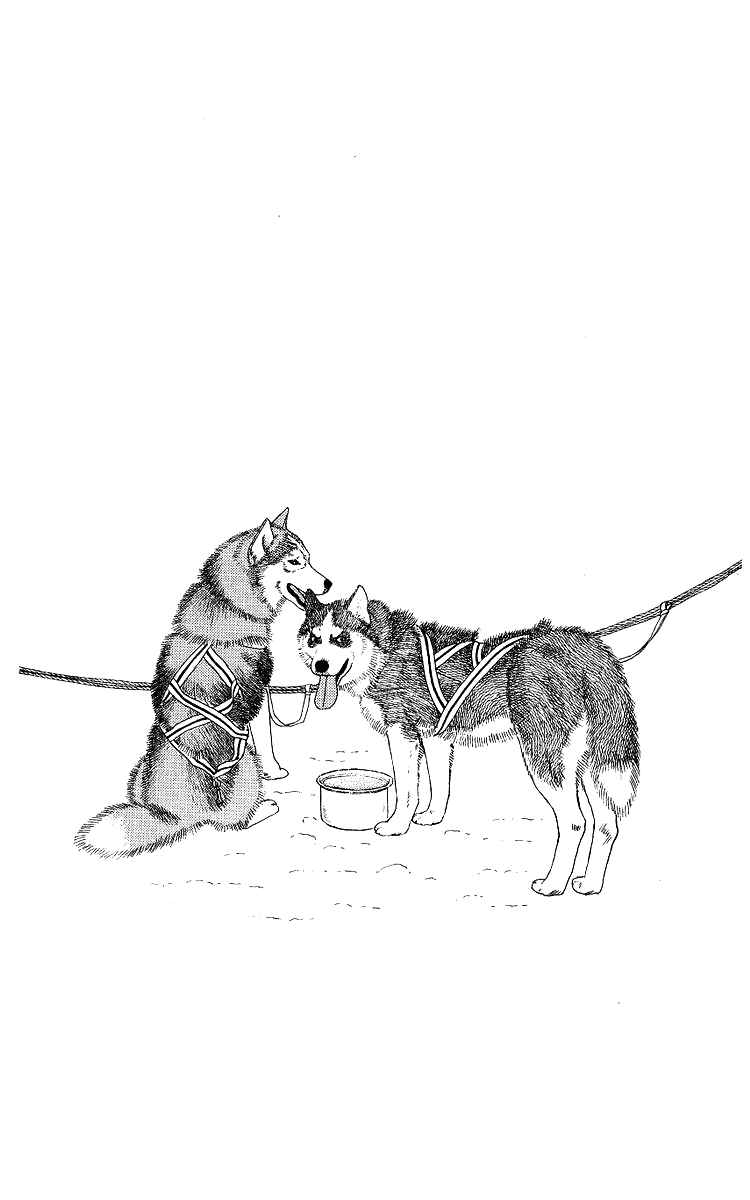 Page 3 Chapter 103 The Animal Doctor