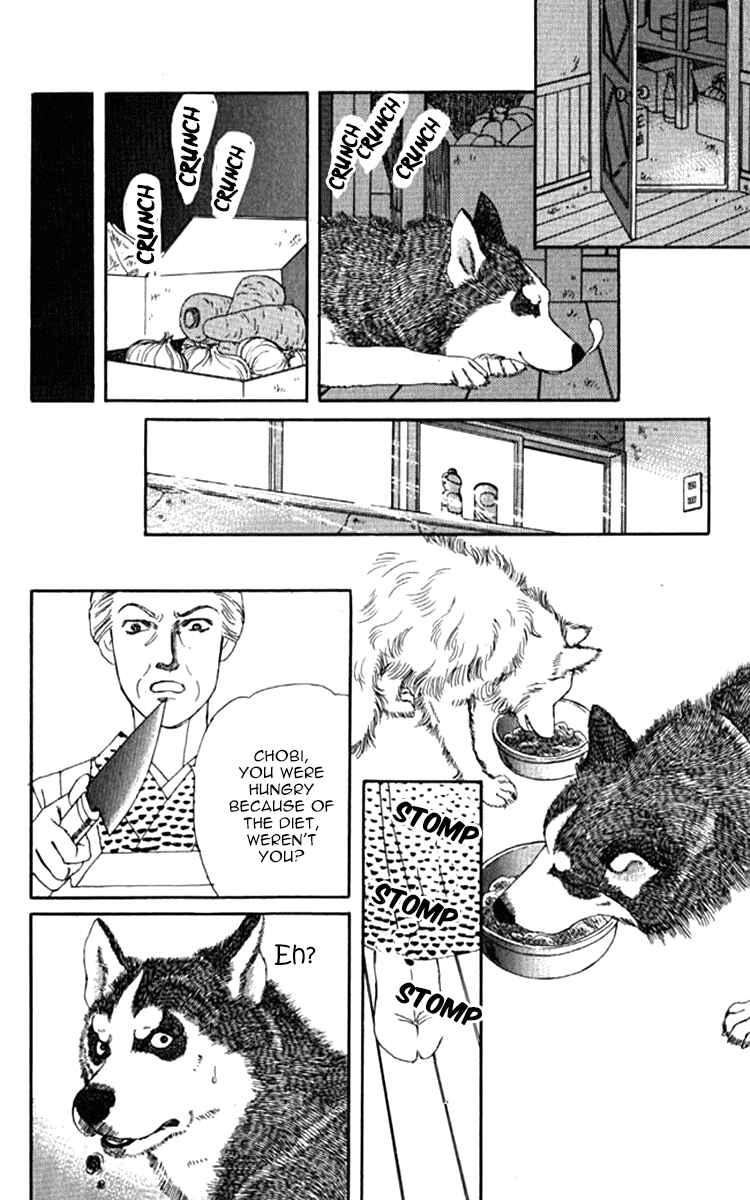 Page 14 Chapter 71 The Animal Doctor