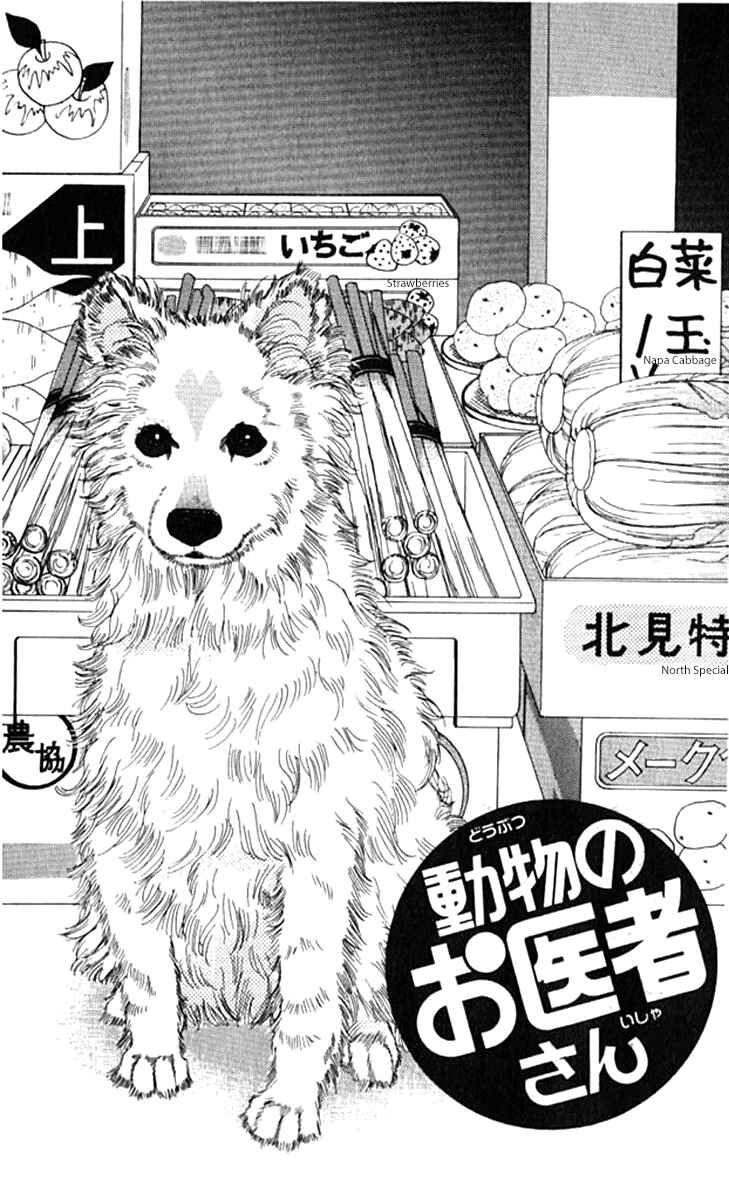 Page 3 Chapter 71 The Animal Doctor