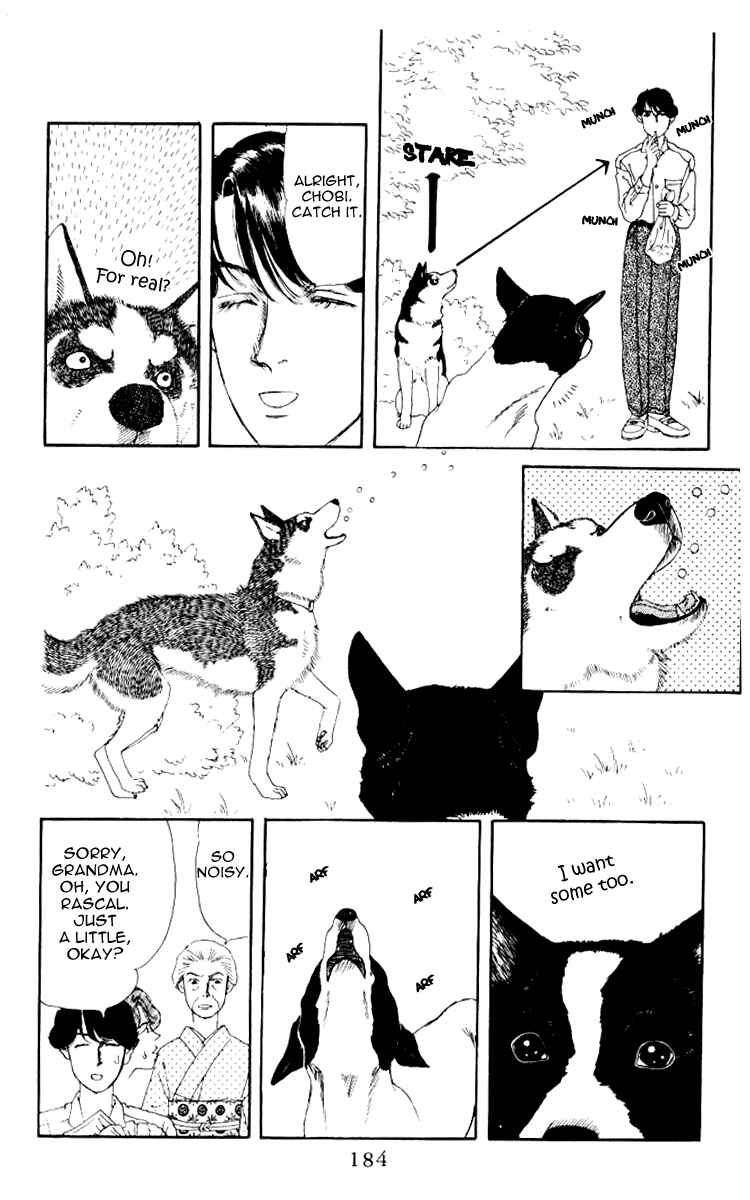 Page 16 Chapter 62 The Animal Doctor