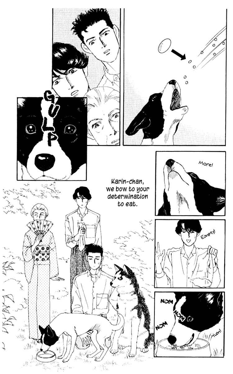 Page 17 Chapter 62 The Animal Doctor