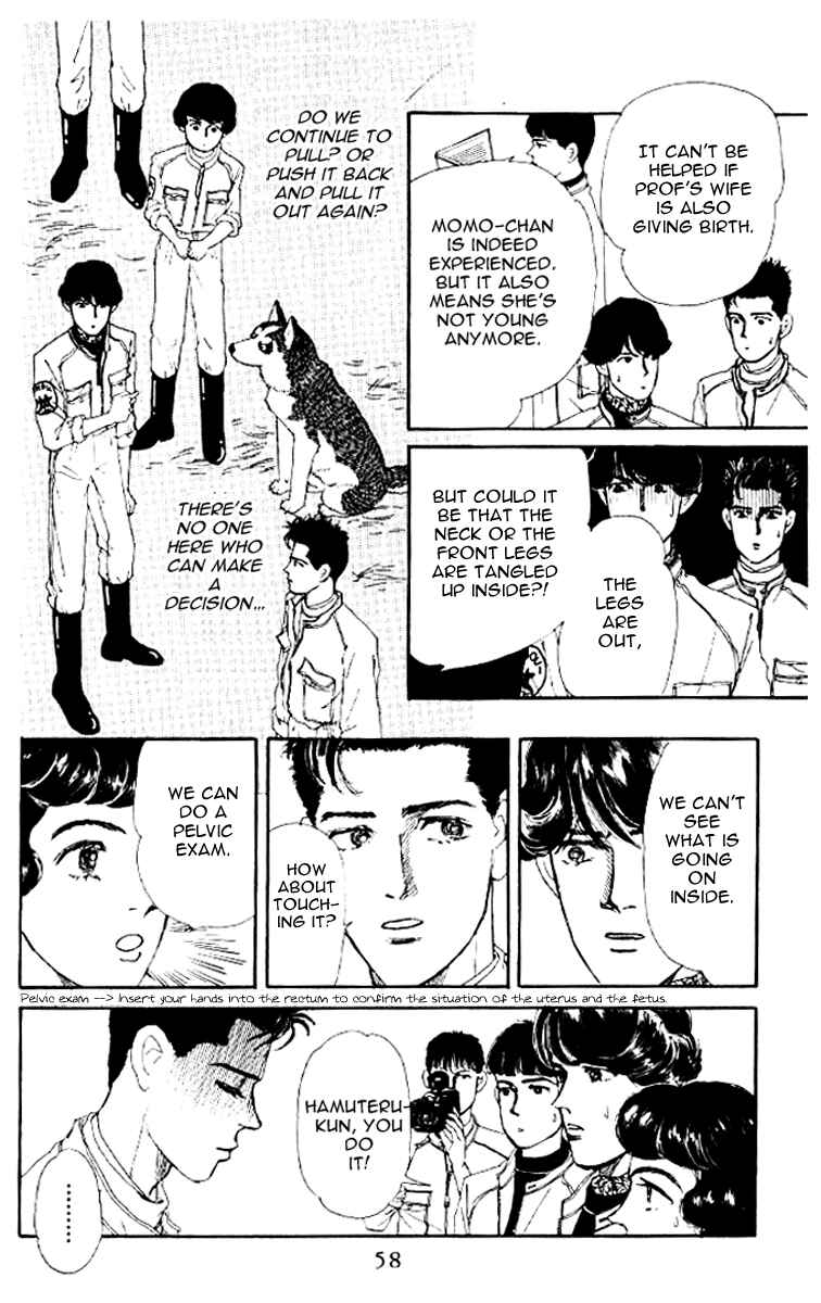 Page 13 Chapter 46 The Animal Doctor