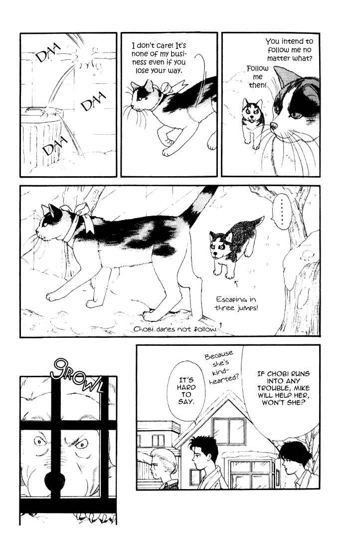 Page 13 Chapter 26 The Animal Doctor