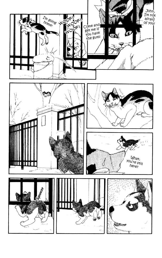 Page 14 Chapter 26 The Animal Doctor