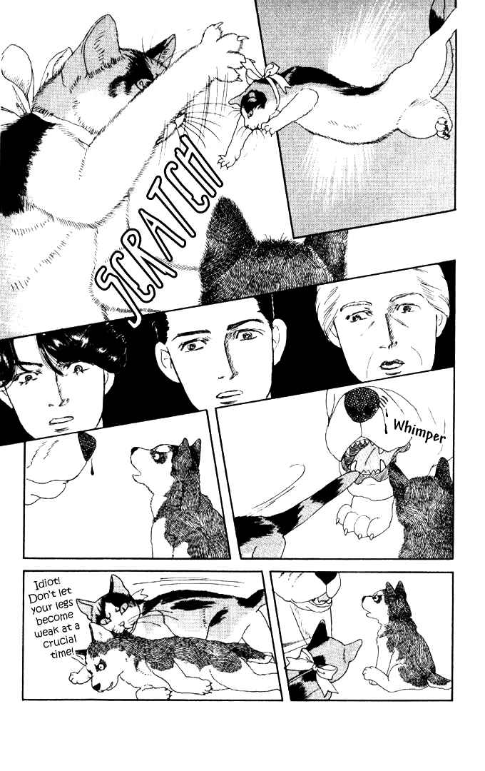 Page 16 Chapter 26 The Animal Doctor