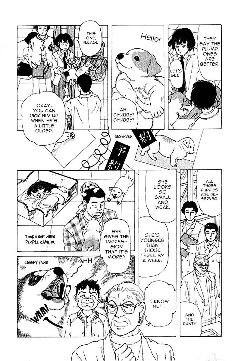 Page 11 Chapter 73 The Animal Doctor