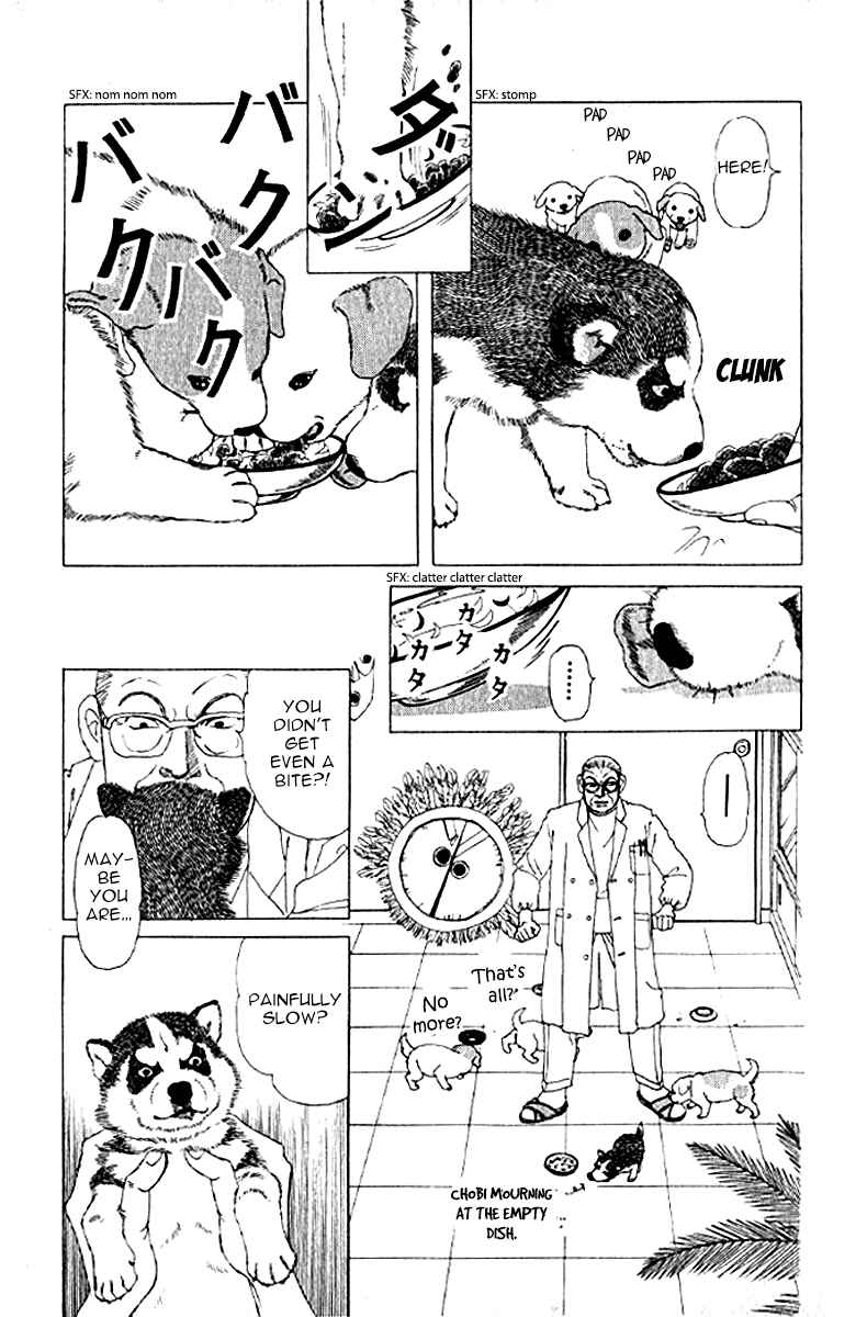 Page 7 Chapter 73 The Animal Doctor