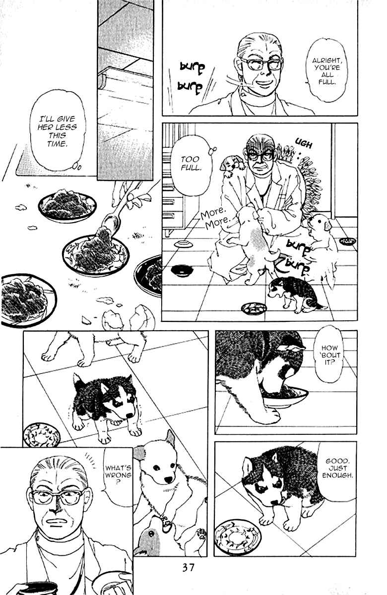 Page 9 Chapter 73 The Animal Doctor