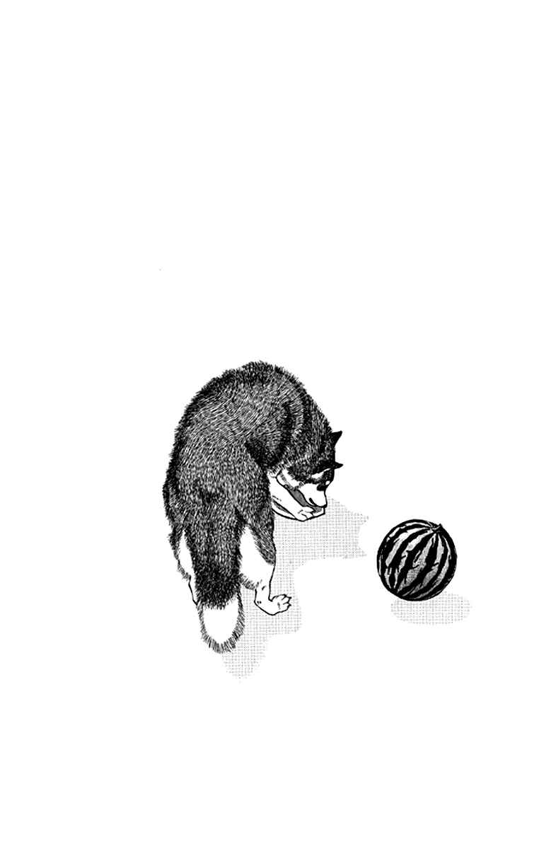 Page 20 Chapter 97 The Animal Doctor