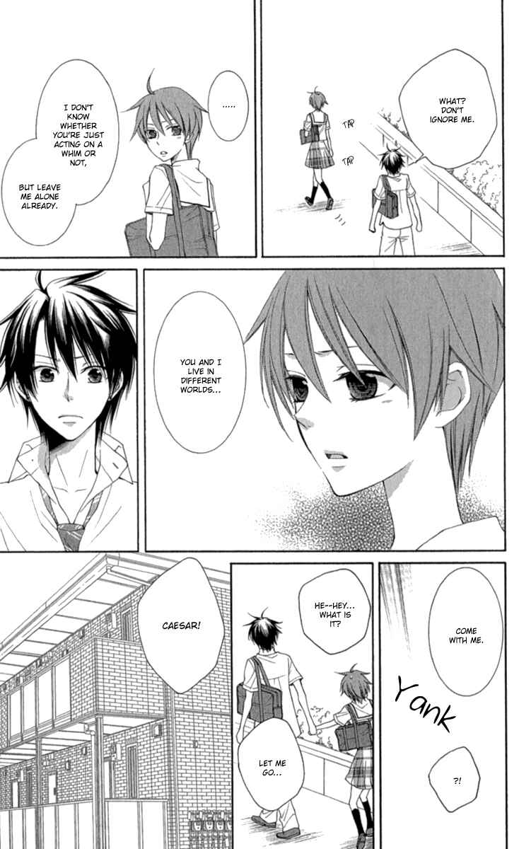 Page 14 Chapter 40.5 Reimei no Arcana