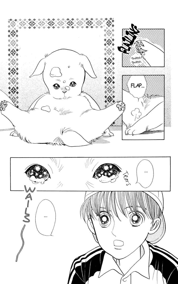 Page 13 Chapter 2 Wild Cats