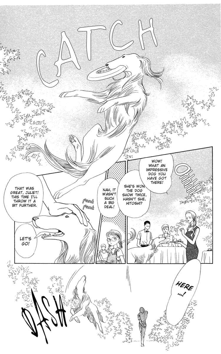 Page 19 Chapter 2 Wild Cats