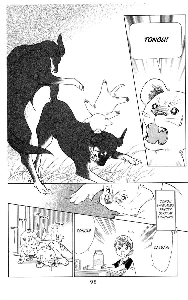 Page 24 Chapter 2 Wild Cats