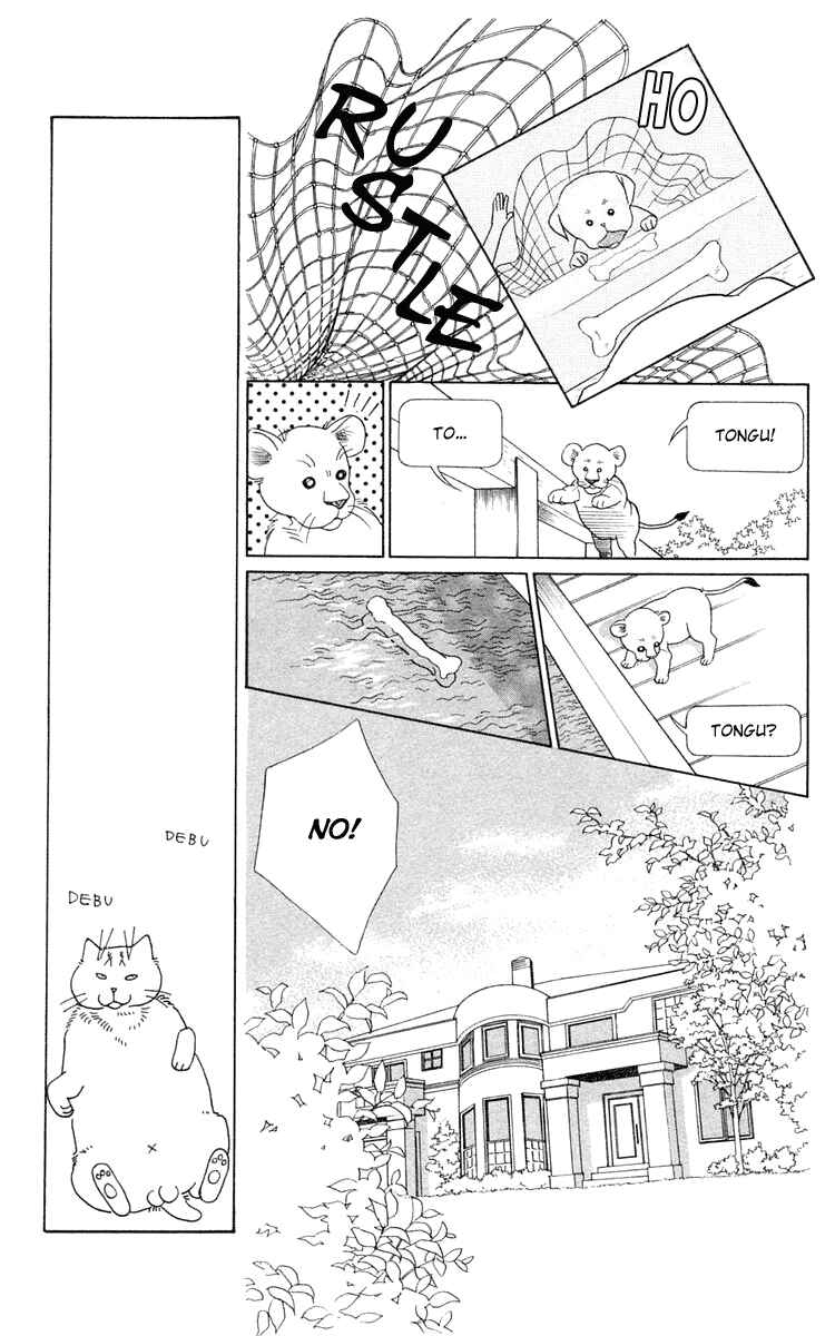 Page 31 Chapter 2 Wild Cats