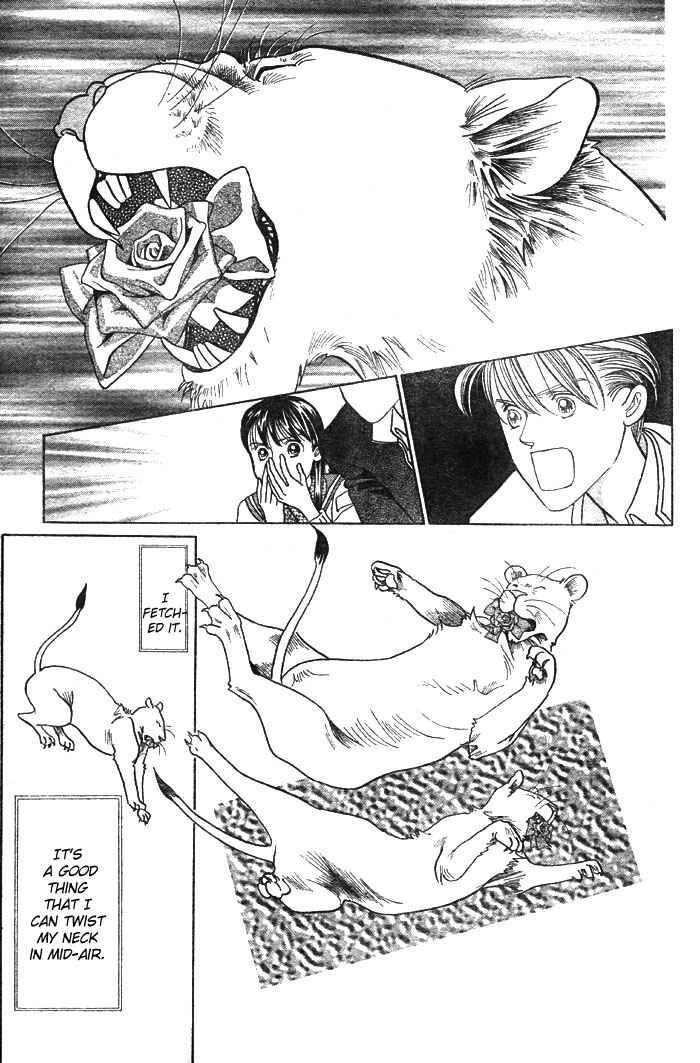 Page 62 Chapter 3 Wild Cats