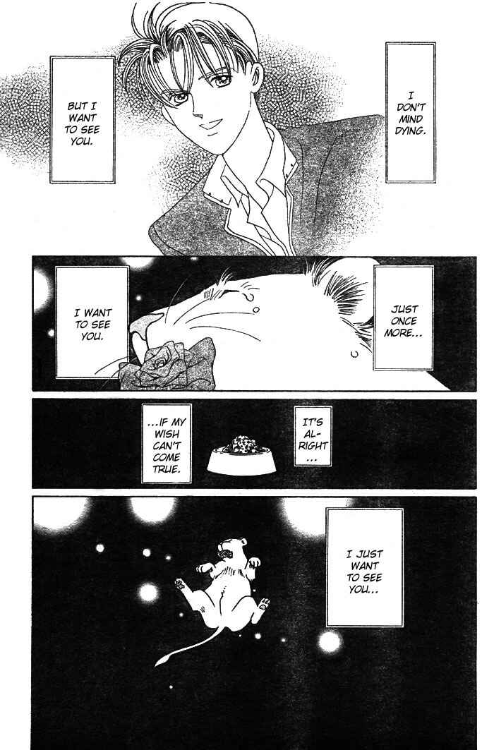 Page 64 Chapter 3 Wild Cats