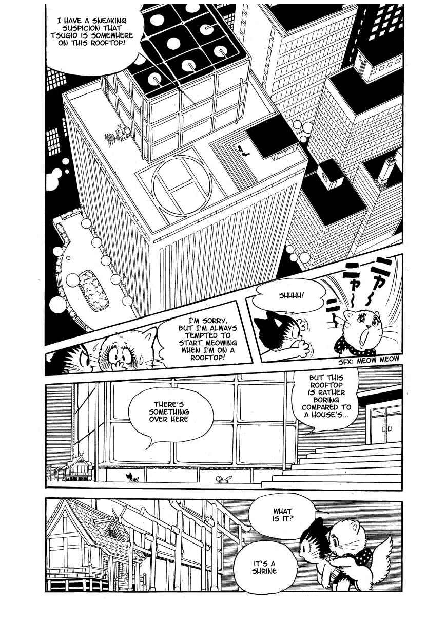 Page 13 Chapter 6 Atom Cat