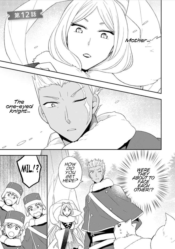 Page 3 Chapter 12 Kita no Toridenite