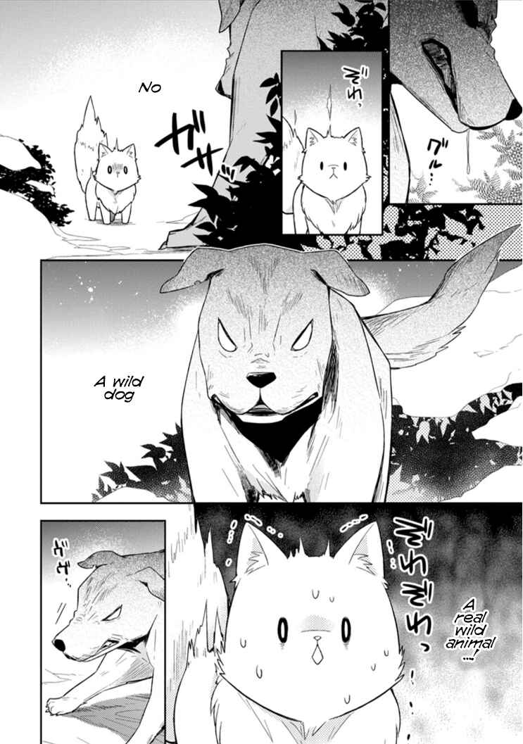 Page 15 Chapter 3 Kita no Toridenite