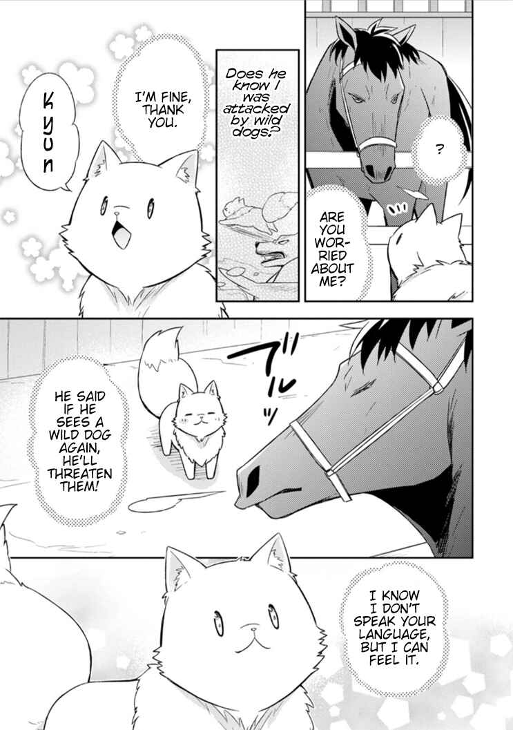 Page 17 Chapter 9 Kita no Toridenite