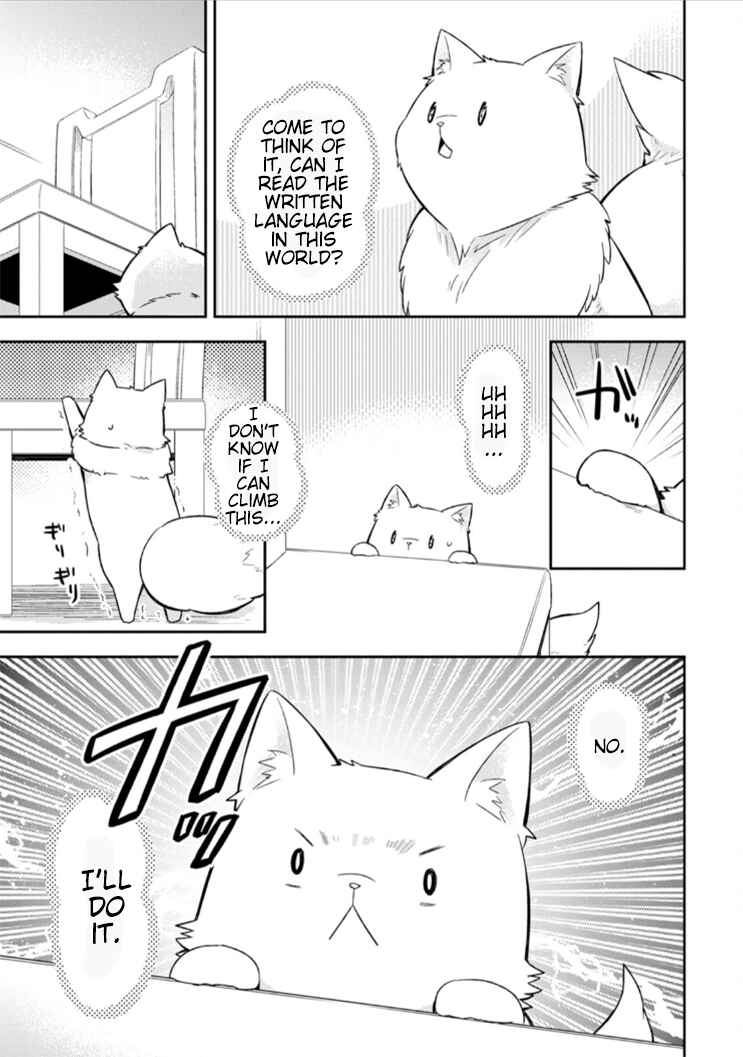 Page 12 Chapter 6 Kita no Toridenite