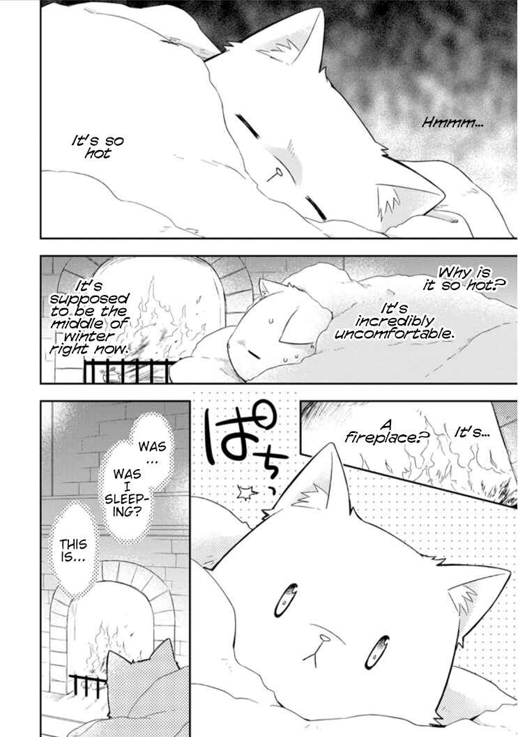 Page 11 Chapter 4 Kita no Toridenite