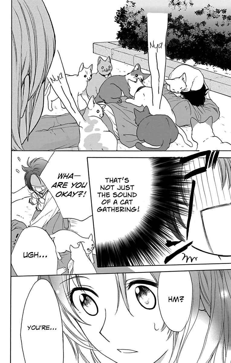 Page 14 Chapter 13 AniTomo - My Brothers Friend