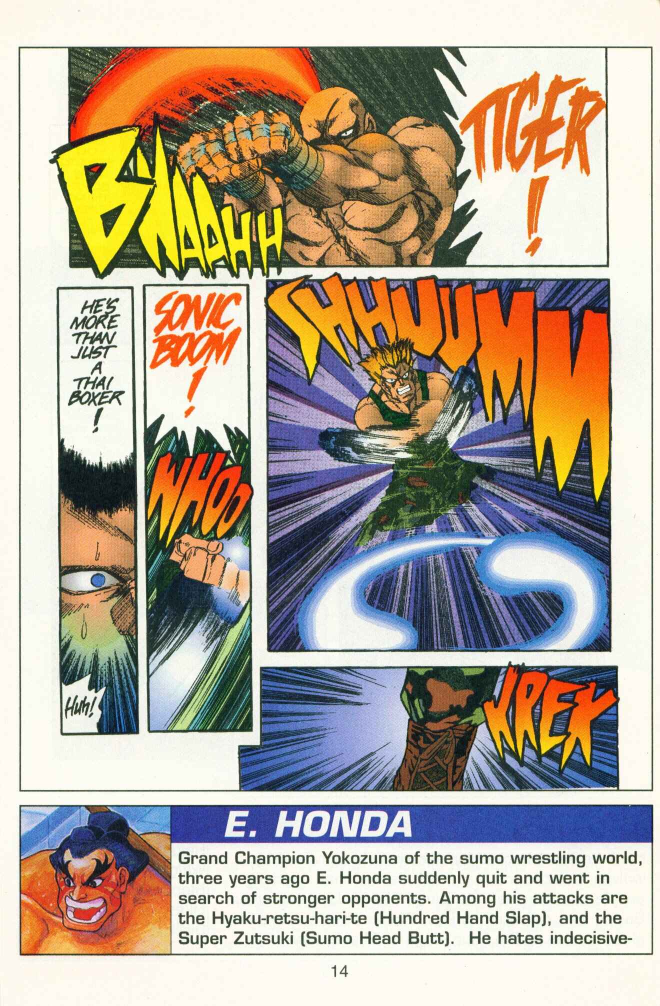 Page 15 Chapter 8 Street Fighter II