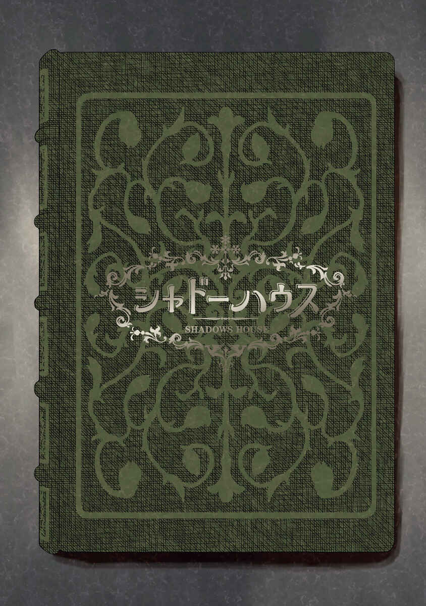 Page 15 Chapter 133.5 Shadows House (Official Colored)