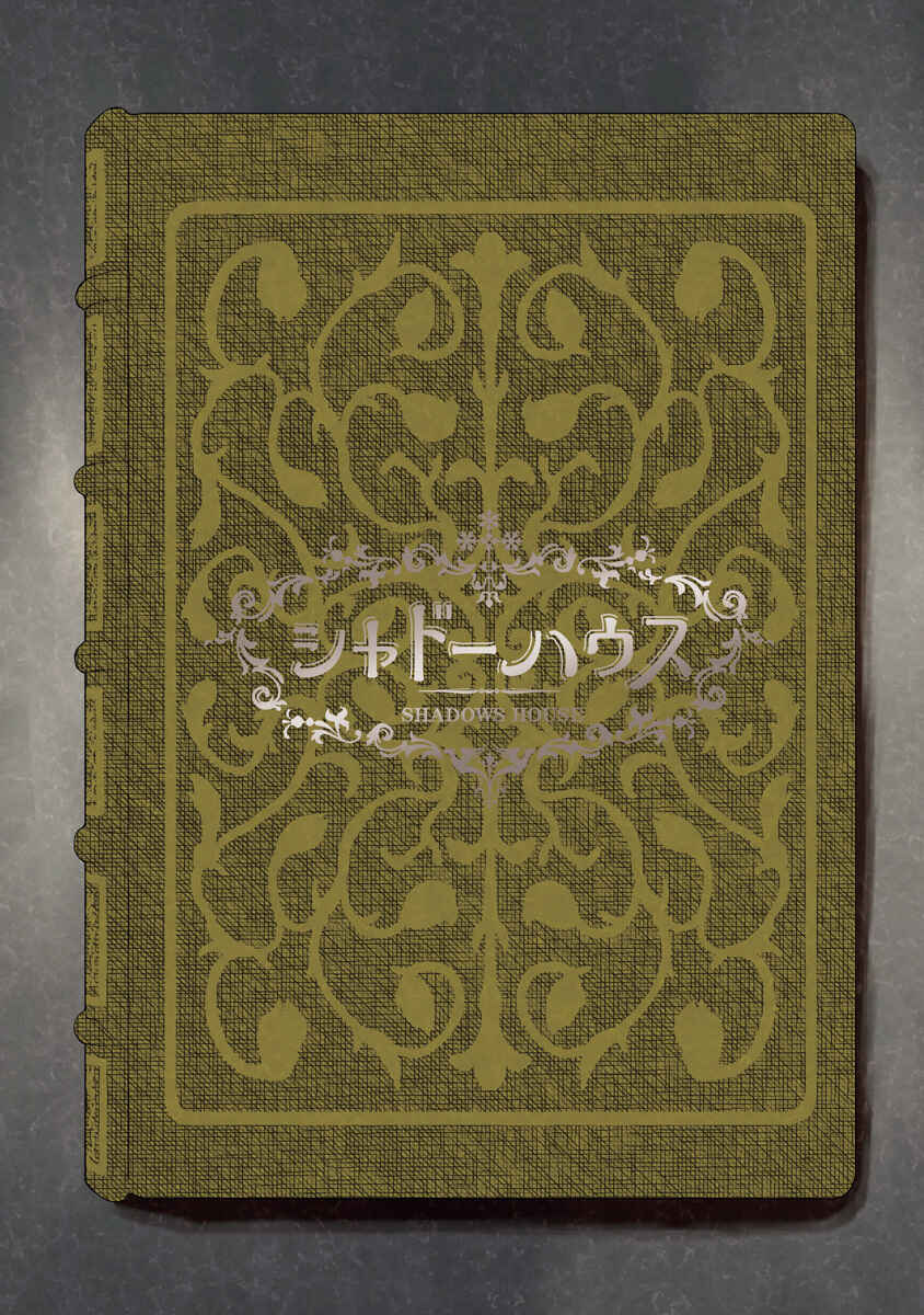 Page 14 Chapter 124.5 Shadows House (Official Colored)