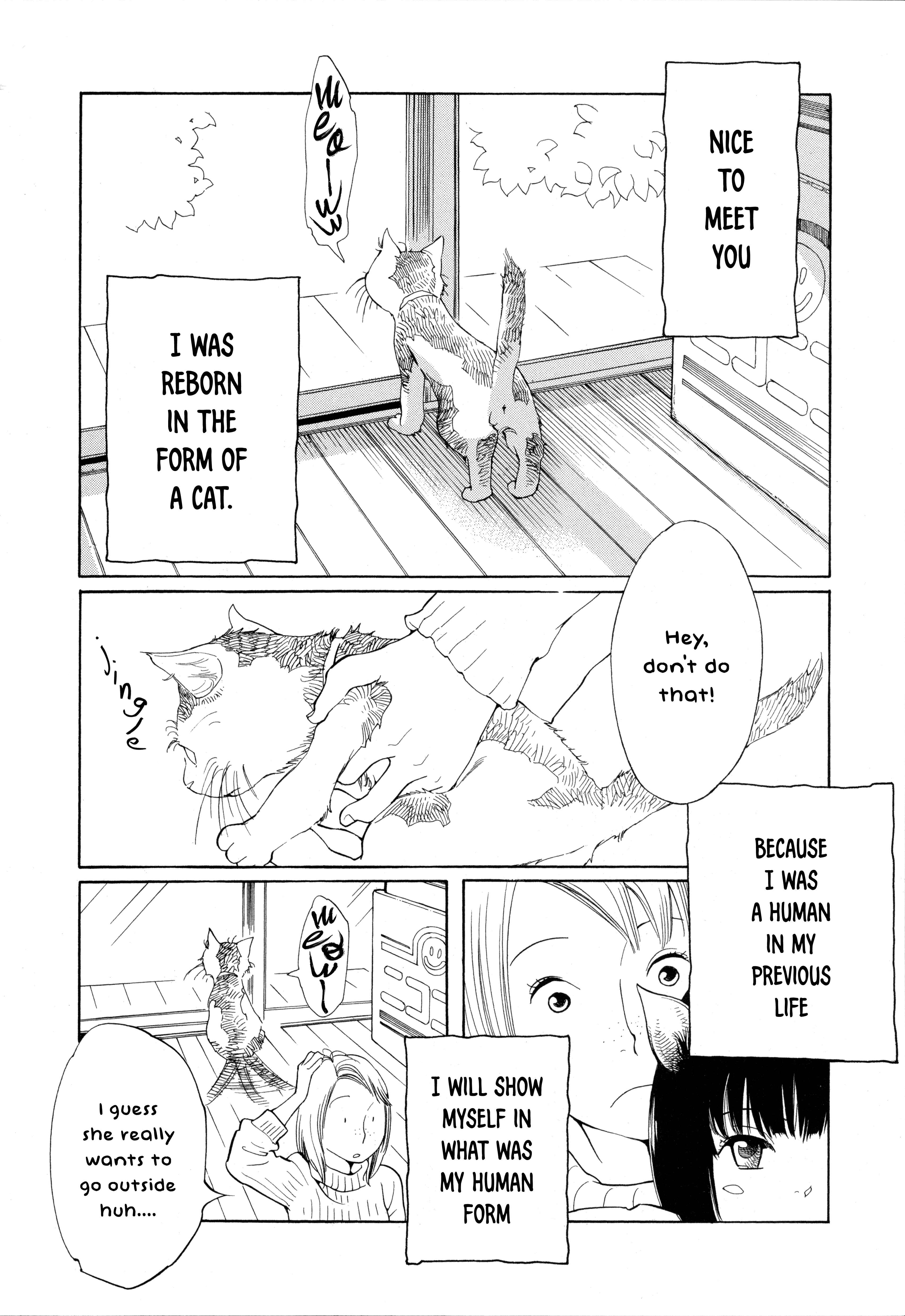 Page 2 Chapter Unknown_44cc Cat Days