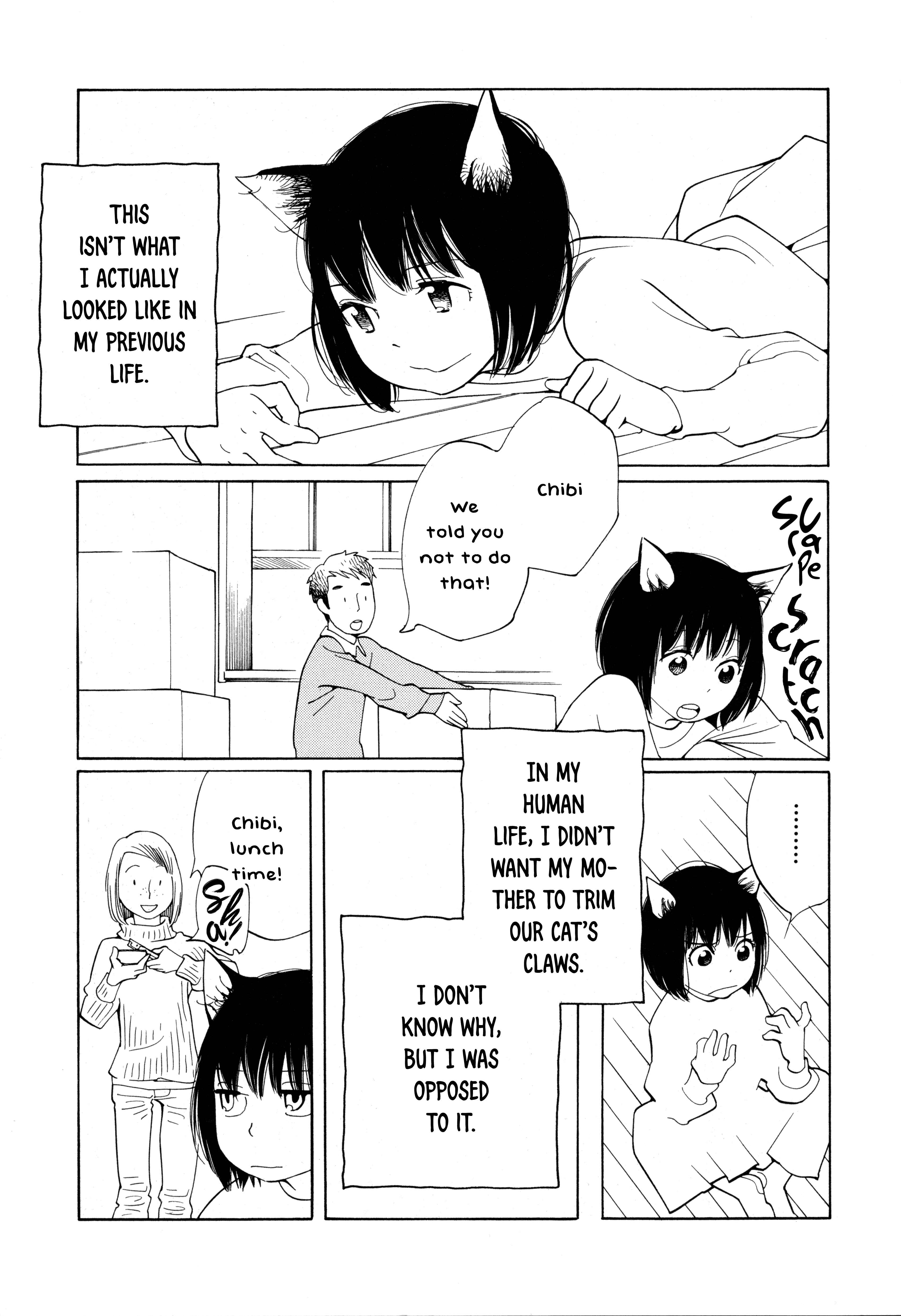 Page 5 Chapter Unknown_44cc Cat Days