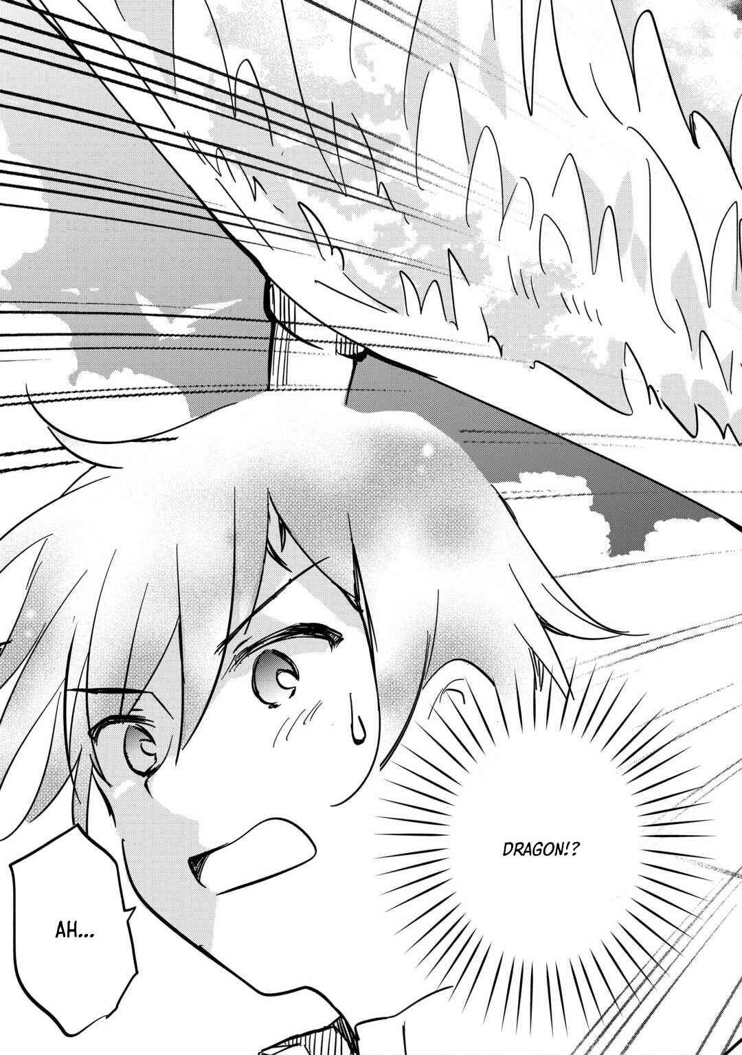 Page 11 Chapter 5 Tokage (Hontou wa Shinryuu) wo Shoukan Shita Seijuu Tsukai, Ryuu no Senaka de Kaitaku Life
